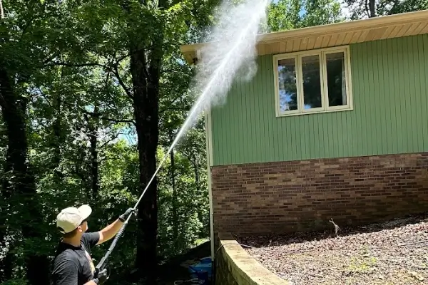 Gutter Cleaning