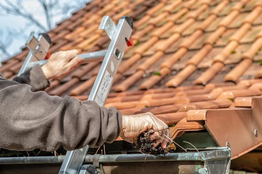 The Connection Between Gutter Cleaning And Pest Prevention Apison, TN
