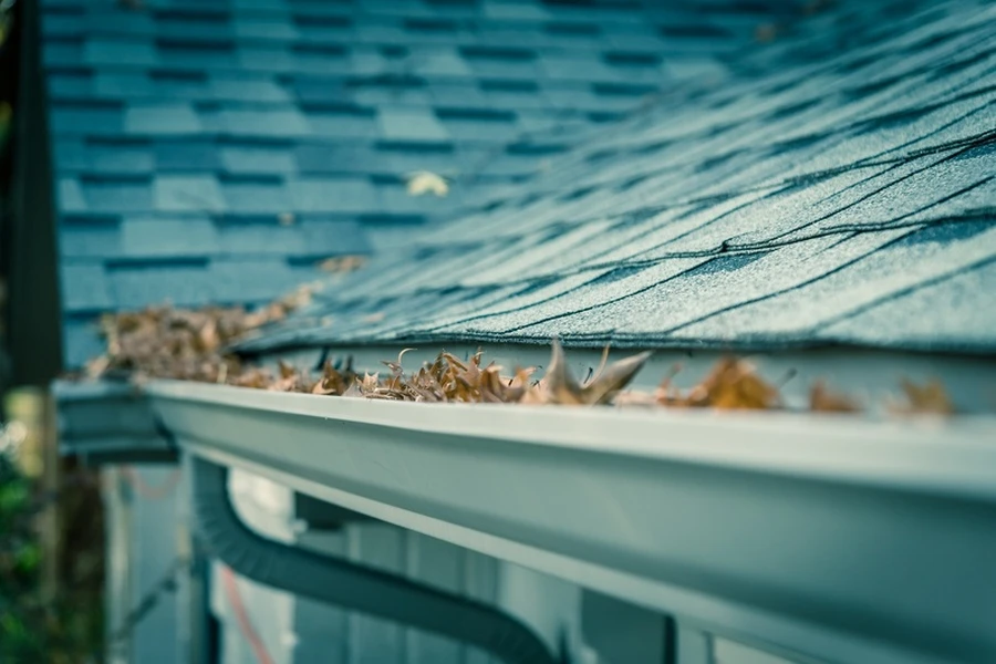 The Connection Between Gutter Cleaning And Pest Prevention in Apison, TN